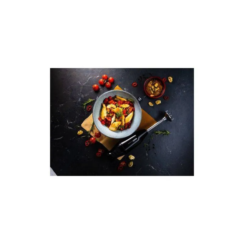 Mixeurs Plongeants-bamix Mixeur Plongeant Cordless Plus sans fil Noir