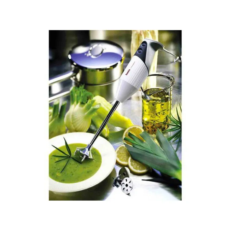 Mixeurs Plongeants-bamix Professionnel Mixeur Plongeant M350 GASTRO Blanc et Gris clair