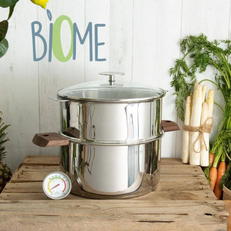 Cuits Vapeur Inox | Cuiseurs Vapeur Simples 1 Niveau-CRISTEL BIOME Cuisson Saine Ensemble Cuit vapeur amovible avec Thermostat D20 HETRE