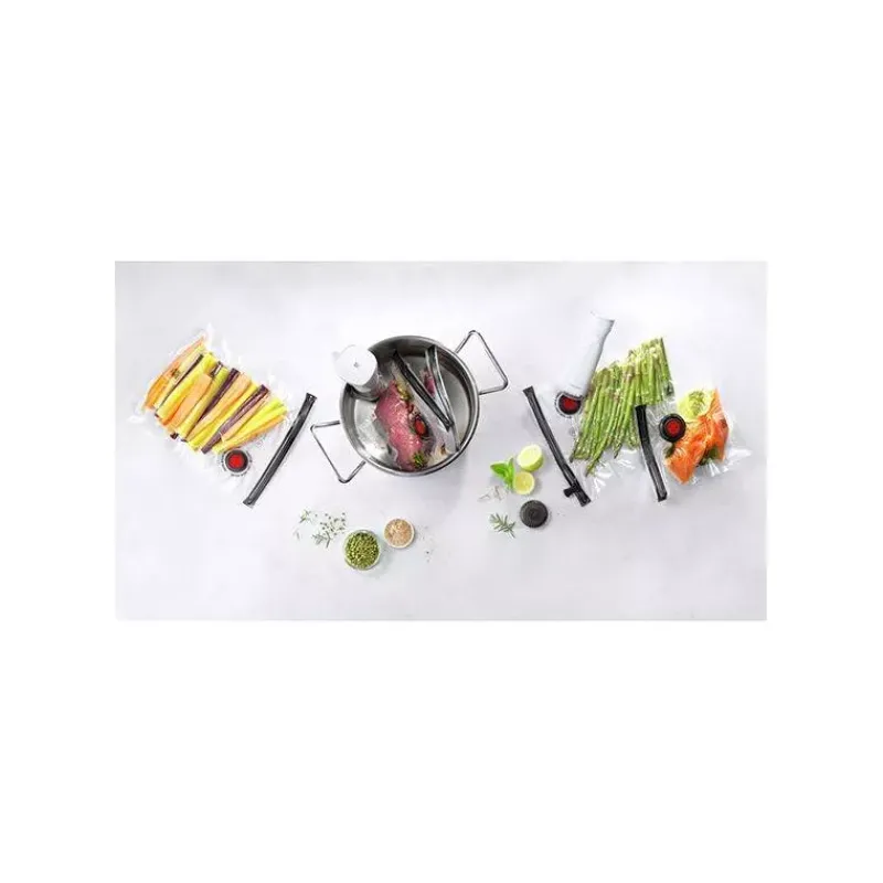 Machines Sous Vide-ZWILLING FRESH & SAVE Set de démarrage Pompe mise sous vide et Thermoplongeur avec sacs SC