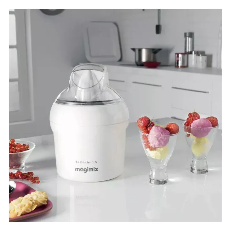 Sorbetières-MAGIMIX Pâle Mélangeur de rechange pour Glacière Sorbetière 1.5L