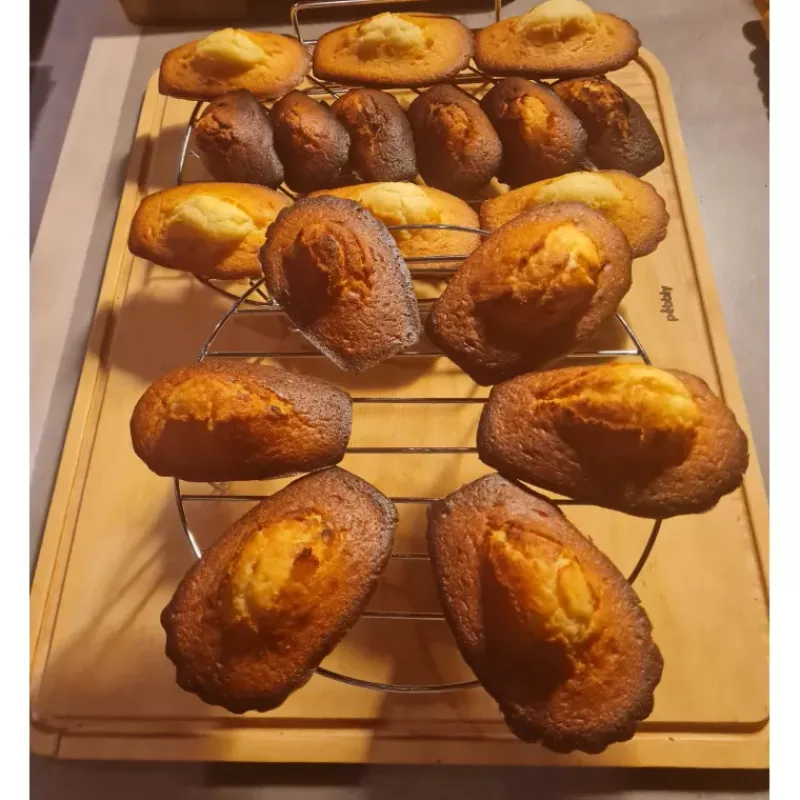 Moules À Madeleines-GOBEL Moule à 6 Madeleines en Fer Blanc Taille Gourmande