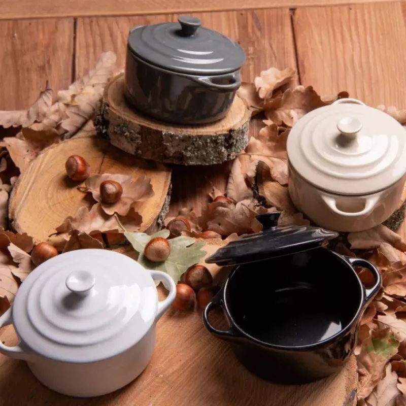 Cocottes En Céramique-TABLE PASSION Set 4 Mini Cocotte ronde  D9 ZEN